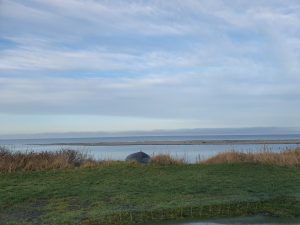 Corona living apart i sommerhus - mit liv lige nu