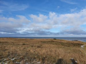 Corona living apart i sommerhus - mit liv lige nu