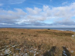 Corona living apart i sommerhus - mit liv lige nu