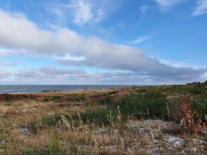 Corona living apart i sommerhus - mit liv lige nu