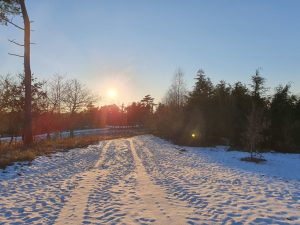 Corona living apart i sommerhus - mit liv lige nu