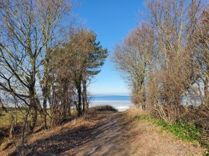 Corona living apart i sommerhus - mit liv lige nu