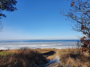 Corona living apart i sommerhus - mit liv lige nu