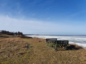 Corona living apart i sommerhus - mit liv lige nu