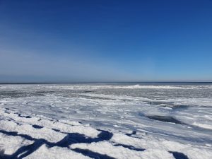 Corona living apart i sommerhus - mit liv lige nu