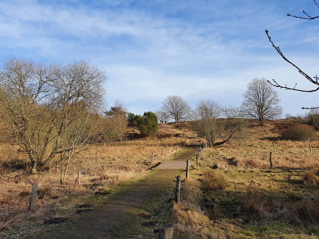 Havremuffins med æble og kanel - nem opskrift