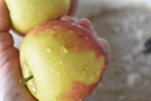 Koldhævede æbleboller - grove. Nem opskrift