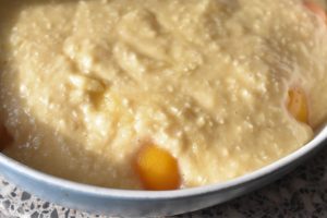 Ferskenkage med kokos nem kage med fersken