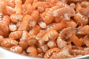 Jomfruhummerhaler i ovn med hvidløgssmør 