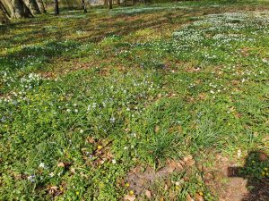 Fødselsdagsfest med lækker mad fra Apetit 
