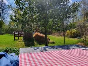 På tur til Restaurant Madam Blå i Fjellerup