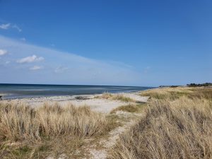 På tur til Restaurant Madam Blå i Fjellerup