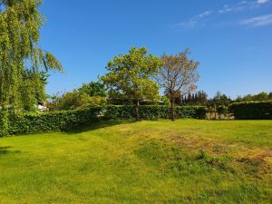 Sommer i sommerhuset - en glad hilsen fra mig