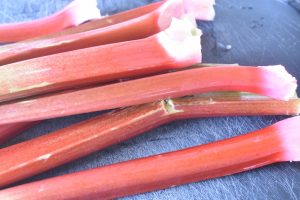 DSC_1252 • nogetiovnen.dk Rabarber