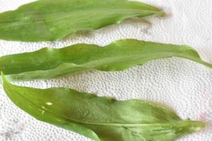 Ramsløgssmør - kryddersmør med ramsløg