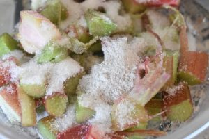 DSC_0138 • nogetiovnen.dk Lagkage med rabarber flødeskum og kokos