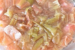 Lagkage med rabarber flødeskum og kokos