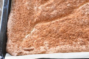 Firkantet lagkage med rabarber og kokos