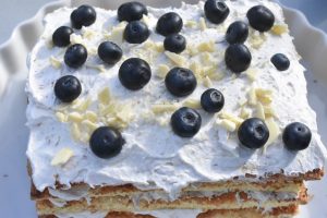 Firkantet lagkage med rabarber og kokos