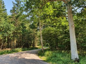 2021-07-24 13.59.49 • nogetiovnen.dk Meilgaard slotskro - på cykeltur i Meilgaard skov
