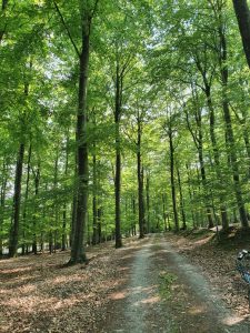 Meilgaard slotskro - på cykeltur i Meilgaard skov