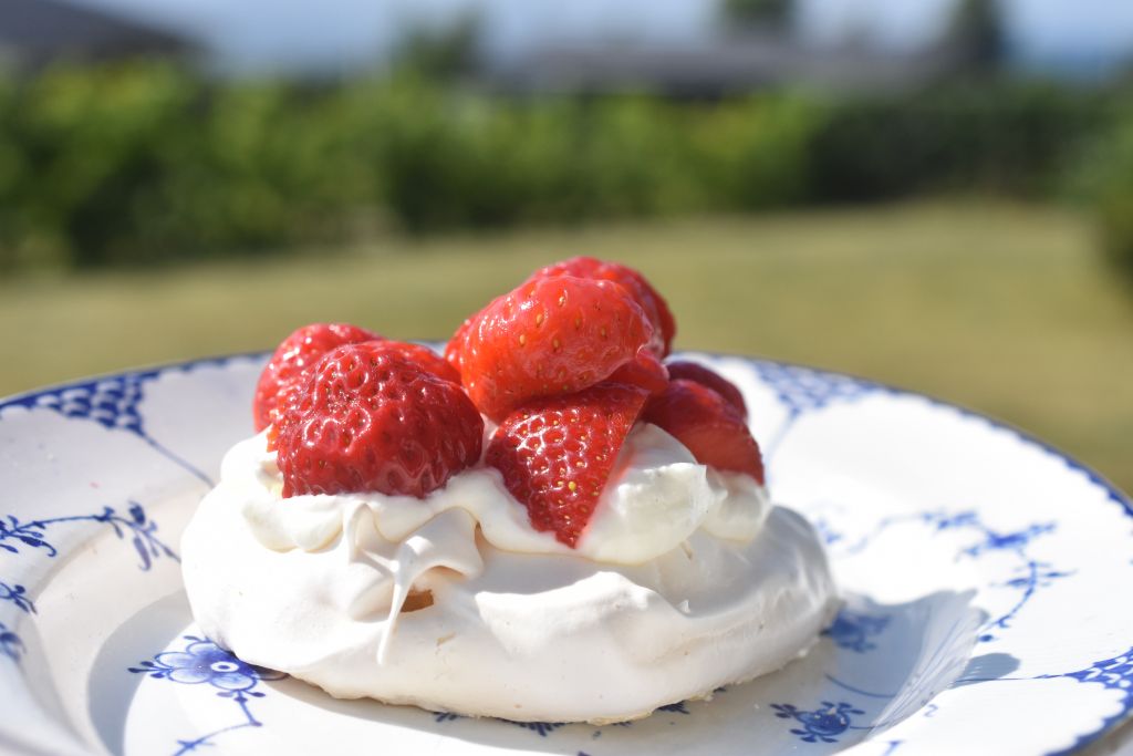 DSC_0502 • nogetiovnen.dk Marengs fuglereder med flødeskum & jordbær