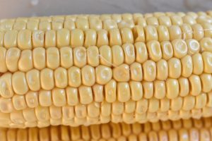 Majskolber på grill med bacon - lækker opskrift