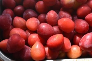 Mirabelle marmelade med vanilje - opskrift