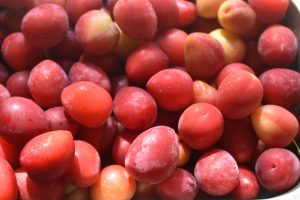 Mirabelle marmelade med vanilje - opskrift