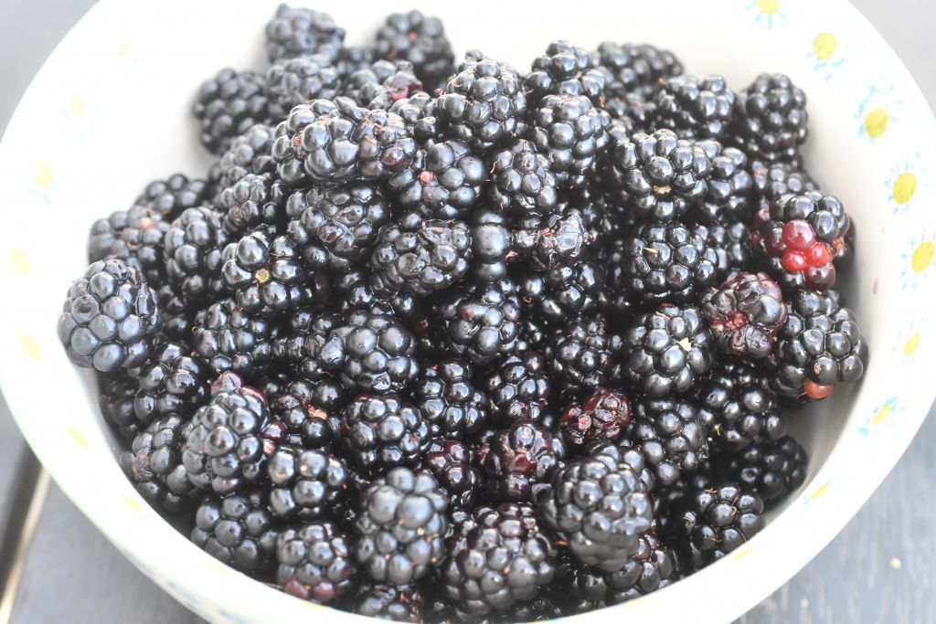 DSC_1578 • nogetiovnen.dk Råsyltede brombær på 2 minutter - til dessert