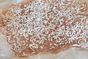 Knækbrød uden mel - grødchips af havregrød