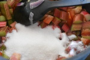 Rabarberchutney - rabarberrelish - nem opskrift