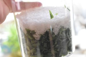 Ramsløgsalt - nem opskrift på salt med ramsløg