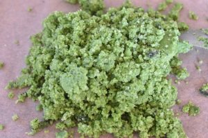 Ramsløgsalt - nem opskrift på salt med ramsløg