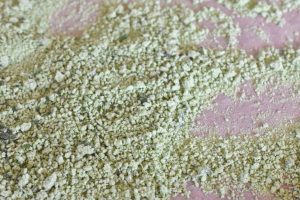 Ramsløgsalt - nem opskrift på salt med ramsløg