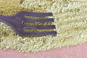 Ramsløgsalt - nem opskrift på salt med ramsløg