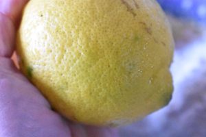 Citronkage med marcipan - nem kage med citron