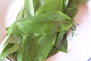 Æggemad med mayo og ramsløgsalt - opskrift