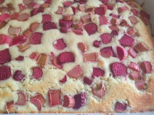 Herregårdskage med rabarber & kokos marengs