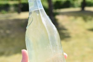 Hyldeblomstsaft - nem opskrift uden citronsyre 