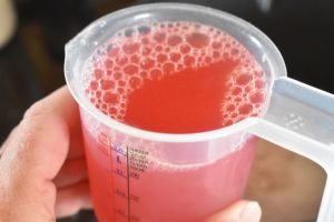 Rabarbersirup opskrift - sirup med rabarber 