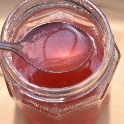 Rabarbersirup opskrift - sirup med rabarber