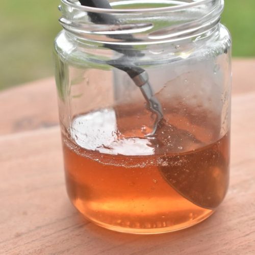 Syrensirup - opskrift på sirup med syrener