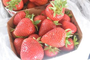 Gammeldags rabarberkage med flødeskum