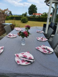 Sommer vejfest i sommerhuset med mad udefra