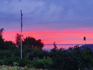 Sommer vejfest i sommerhuset med mad udefra