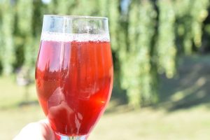 Jordbærsaft opskrift - nem hjemmelavet saft