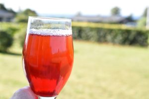 Jordbærsaft opskrift - nem hjemmelavet saft