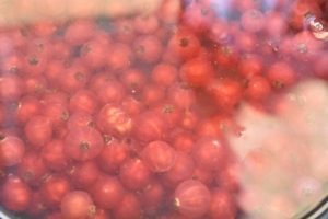 Ribssaft - opskrift på hjemmelavet saft med ribs 