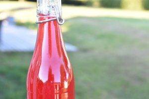 Ribssaft - opskrift på hjemmelavet saft med ribs 